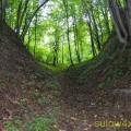 Ładowanie...
