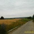 Ładowanie...